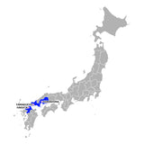 JR Hiroshima Yamaguchi Area Pass / Erwachsener (ab 12 Jahren)