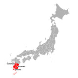 JR Southern Kyushu Area Pass / Erwachsener (ab 12 Jahren)